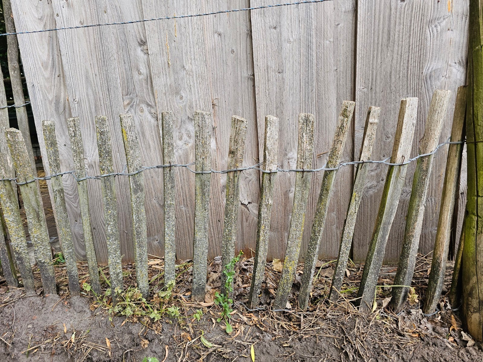 Aangeboden kastanje/ schapenhekwerk 5 mtr., Ophalen, Gebruikt, Hout, Tuinhek