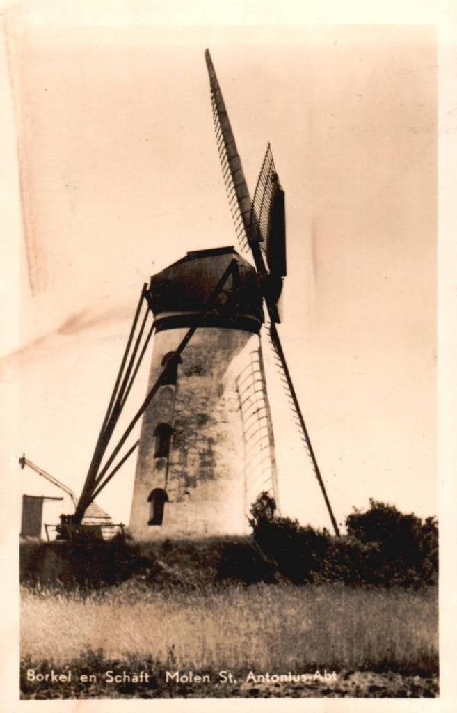 Borkel en Schaft Molen Sint Antonius Abt. 1955, Ophalen, 1940 tot 1960, Gelopen, Noord-Brabant