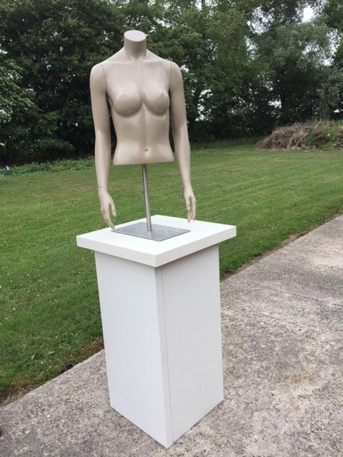 Dames torso op rvs voet, Ophalen, Gedragen