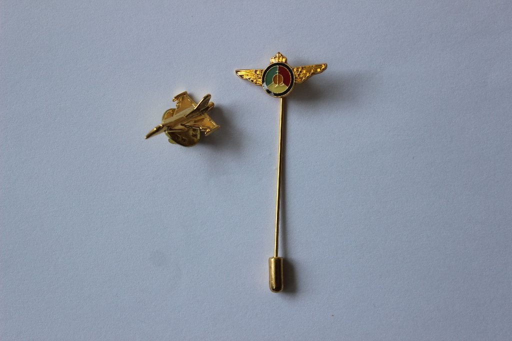 pin onze luchtmacht en rafale  faf, Verzamelen, Verzenden, Luchtmacht, Overige gebieden, Embleem of Badge