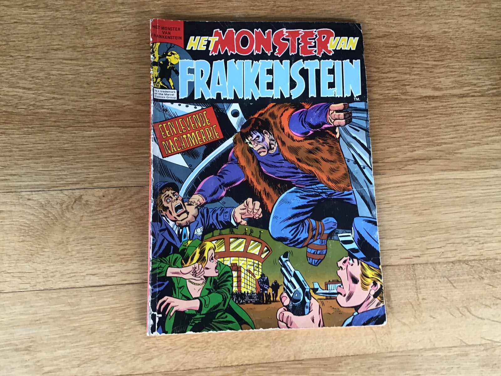 Stripboek Het monster van Frankenstein, Eén comic, Ophalen of Verzenden, Gelezen, Europa