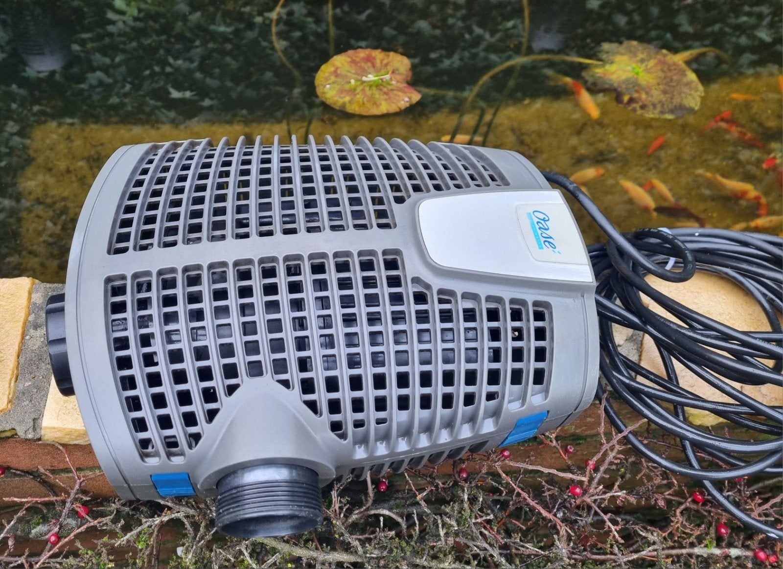 Oase AquaMax ECO Premium 6000., Ophalen of Verzenden, Zo goed als nieuw, Vijverpomp