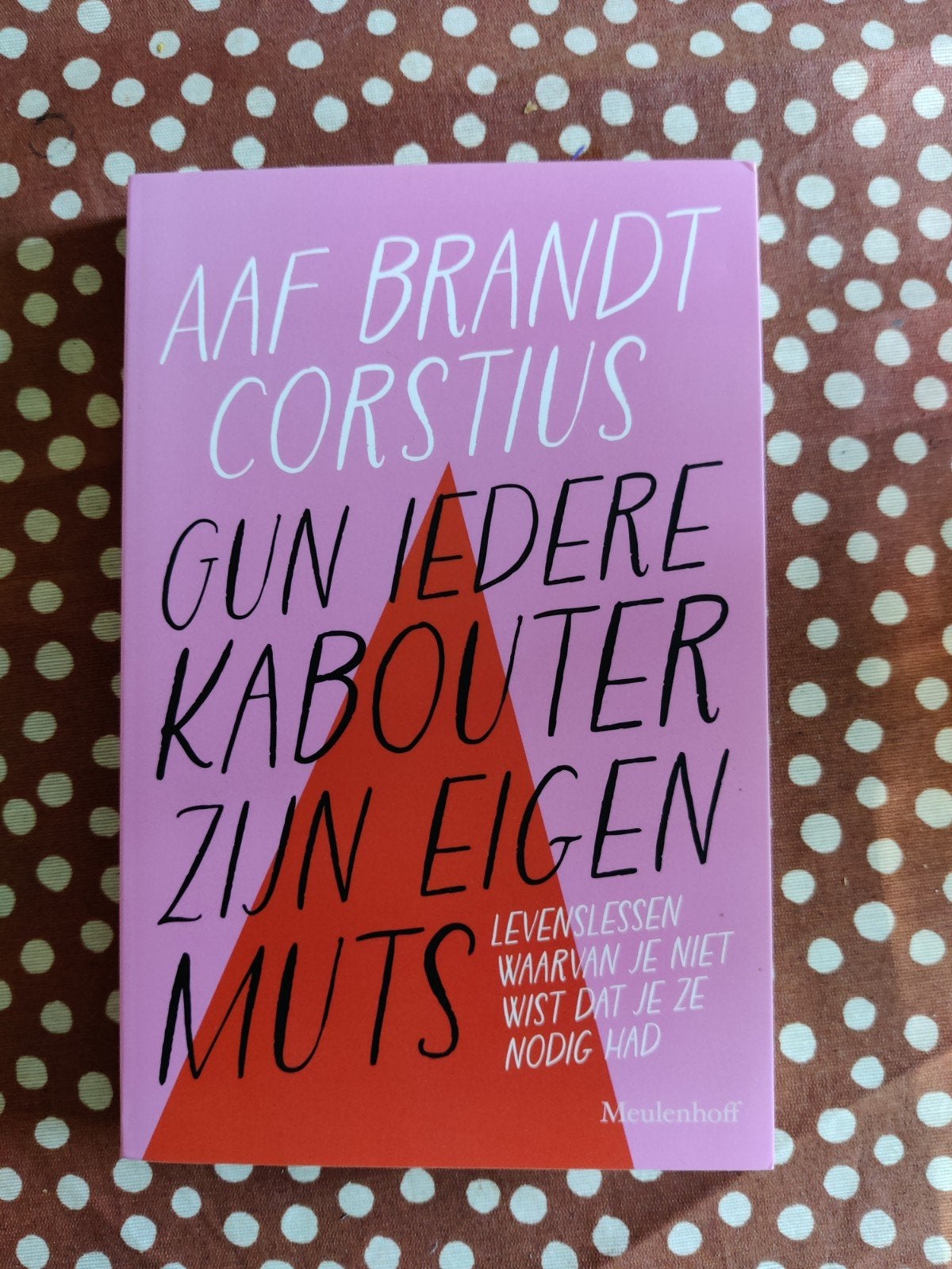 Gun Iedere Kabouter Zijn Eigen Muts - Aaf Brandt Corstius, Ophalen of Verzenden, Gelezen, Aaf Brandt Corstius, Nederland