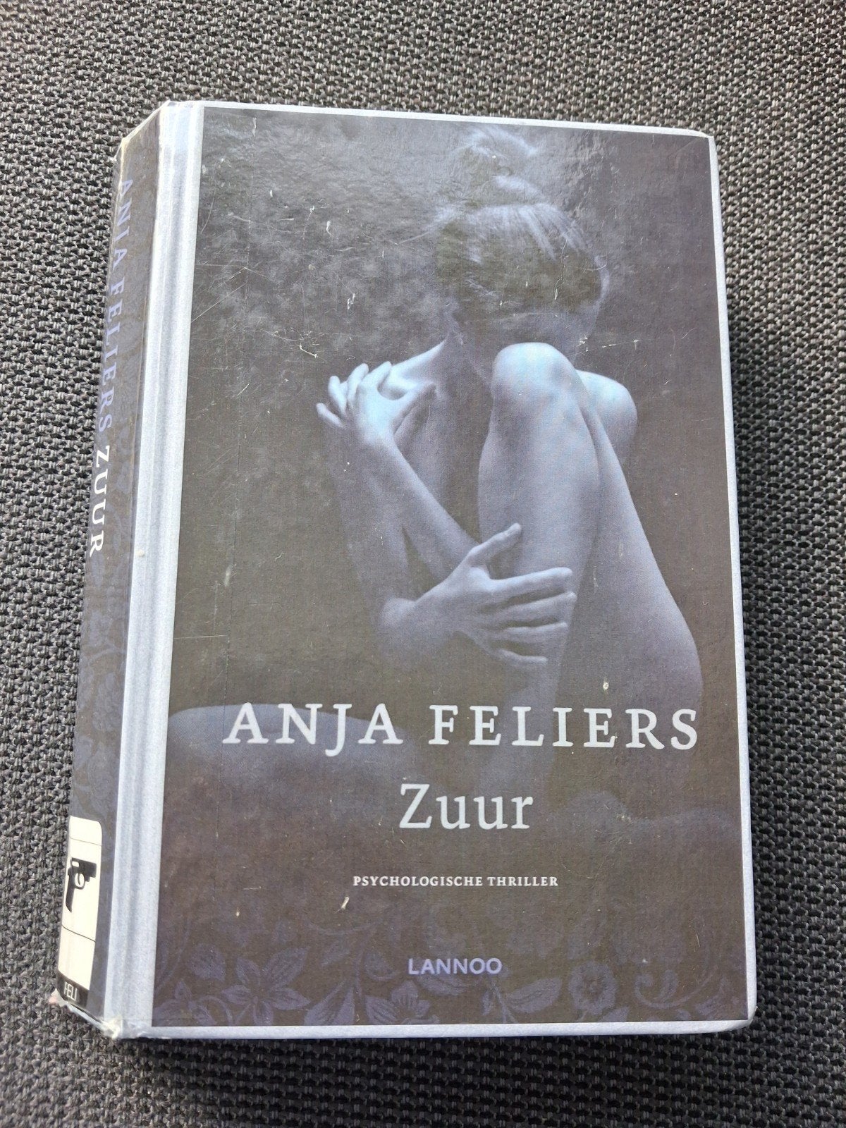 Anja Feliers - Zuur (Psychologische Thriller), Ophalen of Verzenden, Gelezen, Anja Feliers, Nederland