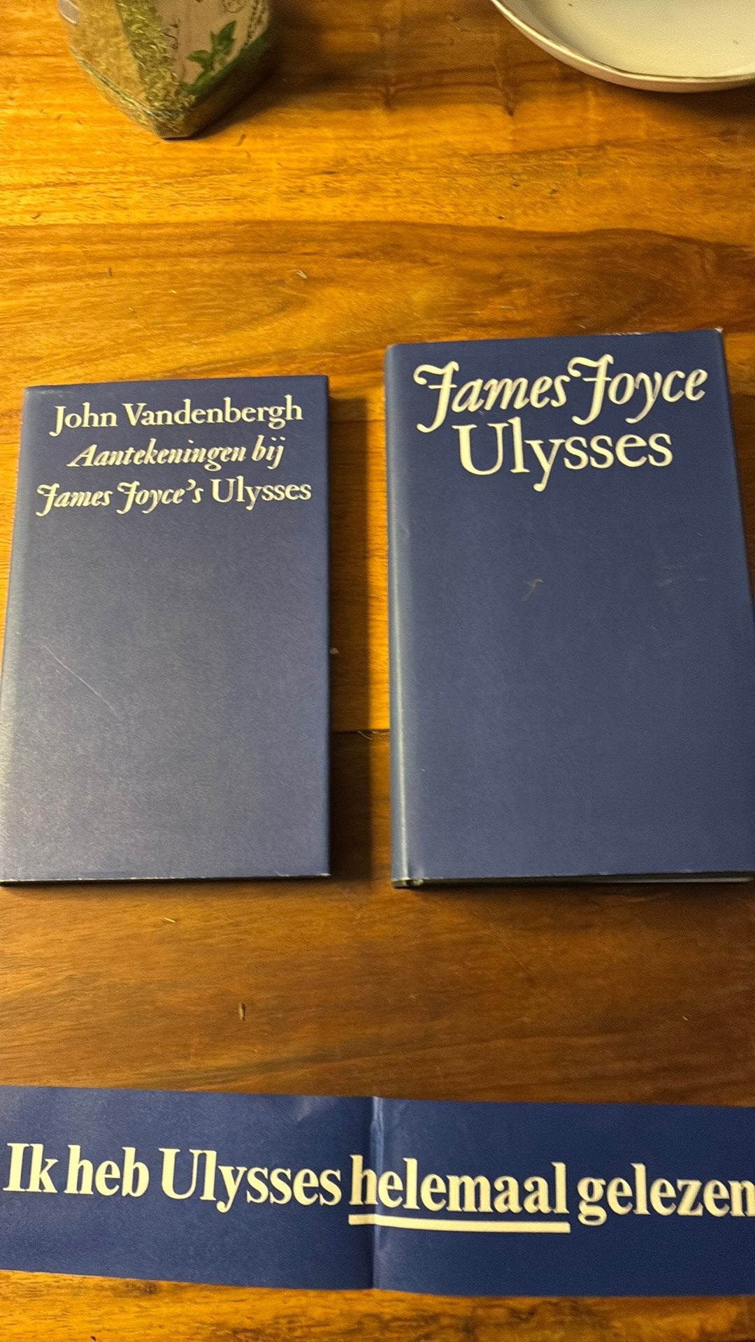 James Joyce Ulysses en aantekeningen. Beroemd boek, Boeken, Ophalen of Verzenden, Zo goed als nieuw