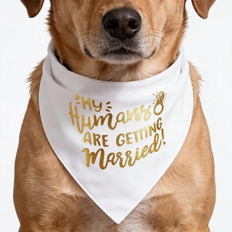 Honden bandana my humans are getting Married
