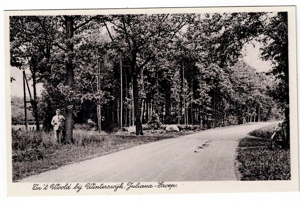 In 't Woold bij Winterswijk. De Juliana - Groep., Ophalen of Verzenden, Voor 1920, Ongelopen, Gelderland