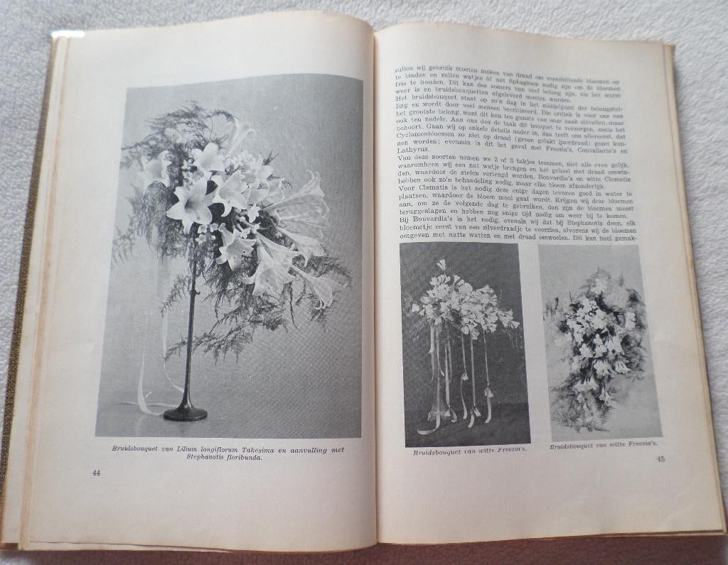 Leerboek voor de Bloemsierkunst., Boeken, Ophalen of Verzenden, Gelezen
