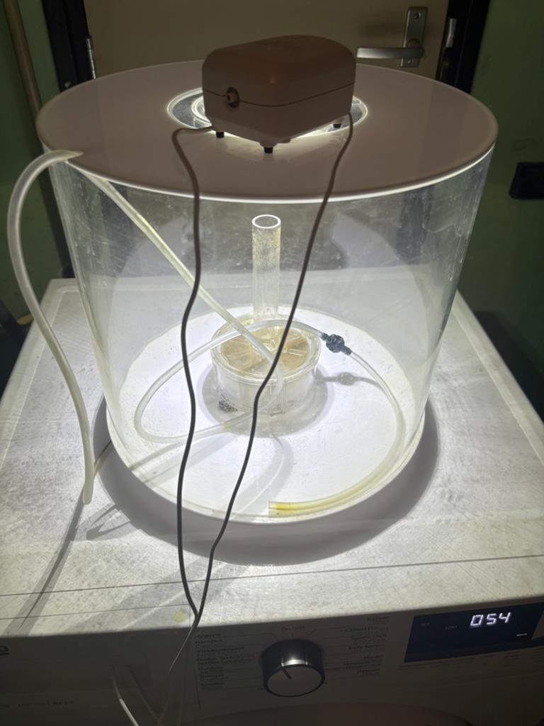biOrb TUBE 35, Ophalen, Verlichting of Verwarming