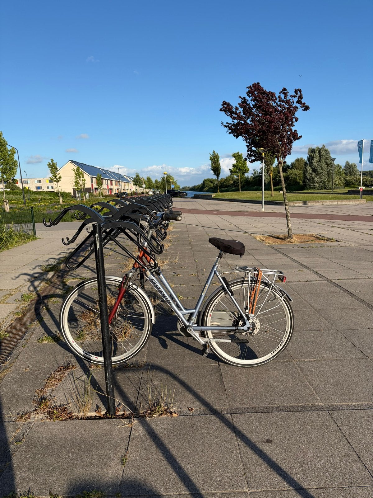 GEZOCHT GESTOLEN FIETS, Velgrem, Ophalen of Verzenden, Gazelle, 53 tot 56 cm