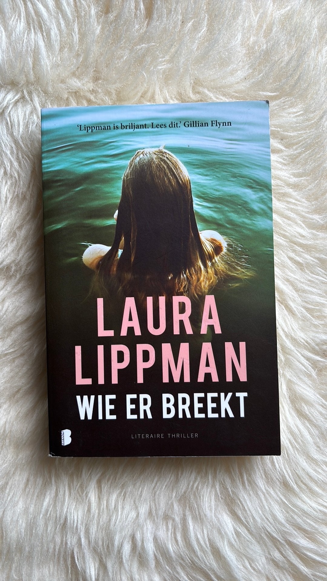 Laura Lippman - Wie er breekt, Boeken, Ophalen of Verzenden, Zo goed als nieuw, Laura Lippman