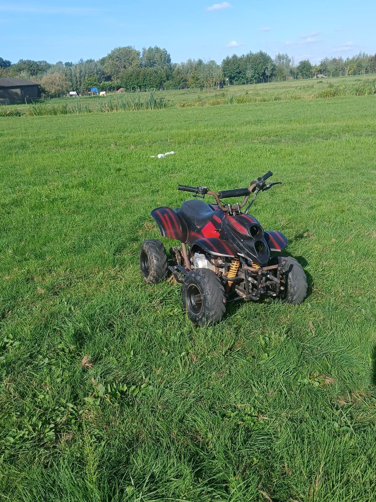 Quad 110 cc, Ophalen, Gebruikt, Overige typen, 110 cc