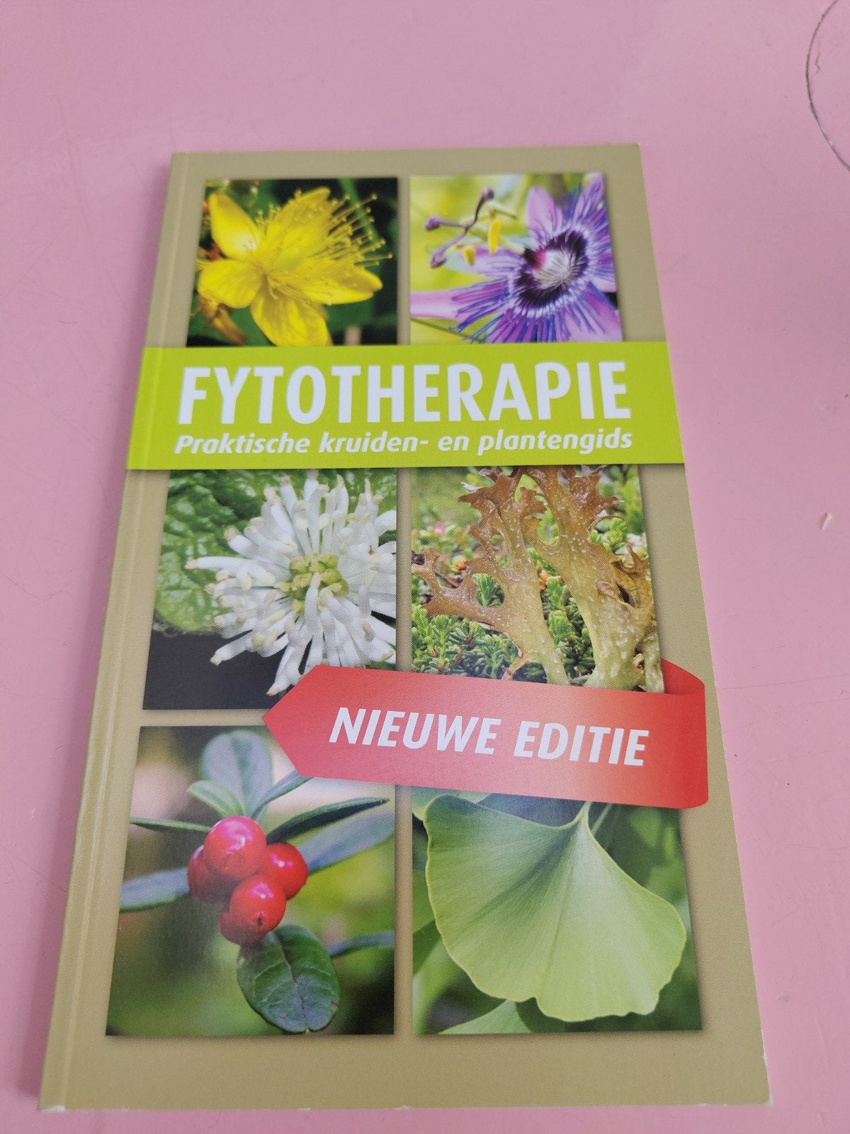 fytotherapie, Boeken, Kruiden en Alternatief, Ophalen of Verzenden, Zo goed als nieuw, Alpen editions