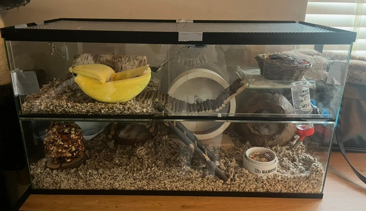 Terrarium, Ophalen, Zo goed als nieuw