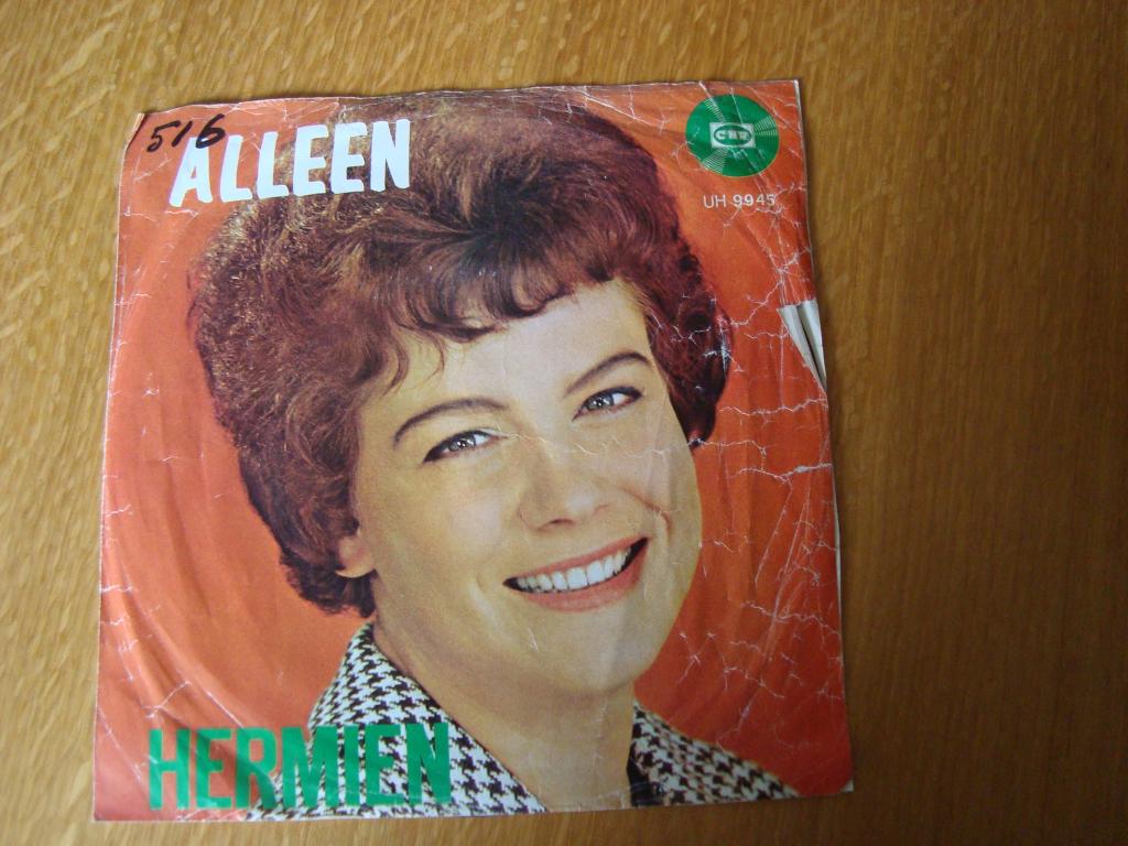 Gert en hermien -jij alleen, zo zal het altijd zijn, Ophalen of Verzenden, Zo goed als nieuw, Nederlandstalig