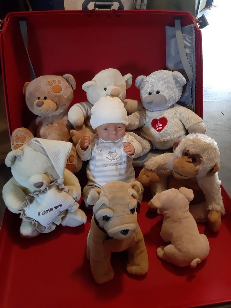 Diversen Pluche Beren En Baby Pop., Ophalen, Nieuw, Babypop