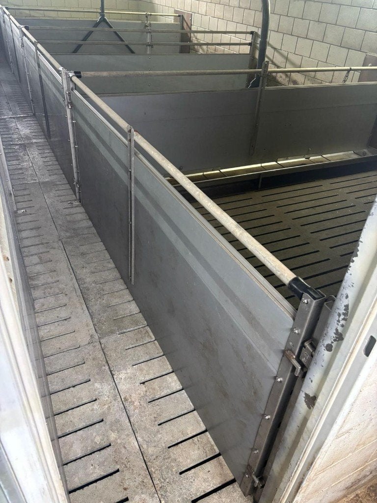 Hokinrichting vleesvarkens brijvoer [468], Dieren en Toebehoren, Stalling en Weidegang, Boekhorst Trading, Tim@boekhorsttrading.com