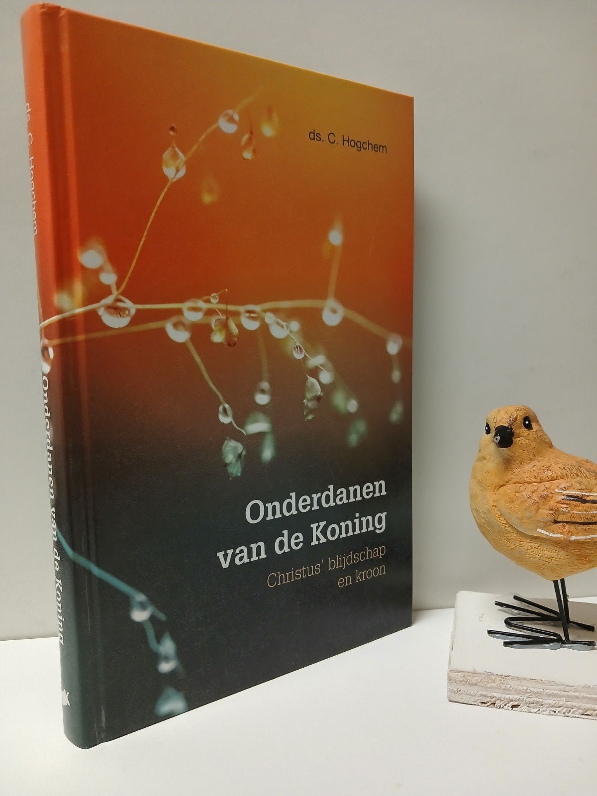 Hogchem, Ds. C;  Onderdanen van de Koning deel 1:, Ophalen of Verzenden, Gelezen, Christendom | Protestants