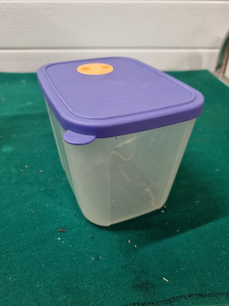 tupperware bewaarbak met vensters  1 liter, Ophalen of Verzenden, 'T Olde Gre-j, Info@toldegrej.nl, Endepoelstraat 20f Didam