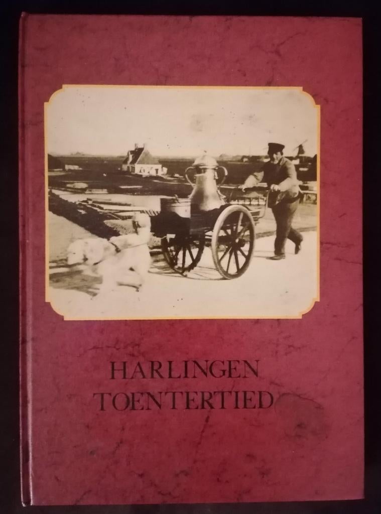 MOOI boek Harlingen Toentertied, Boeken, Geschiedenis | Stad en Regio, Ophalen of Verzenden, Nieuw