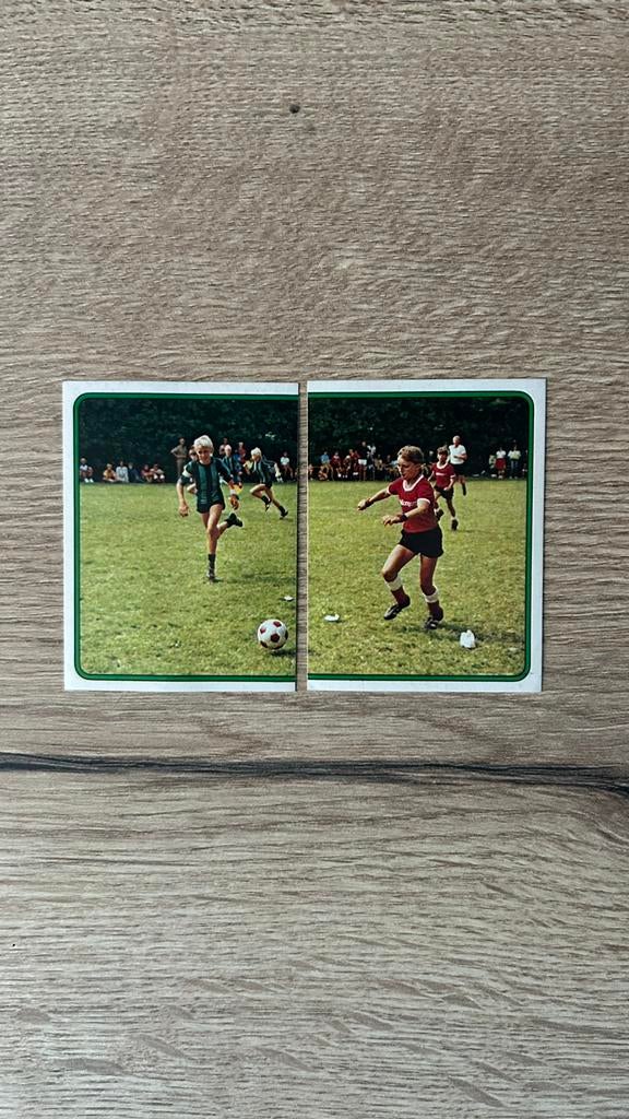 Panini Voetbal 84 plaatjes Intro, Verzenden, Zo goed als nieuw, Sticker