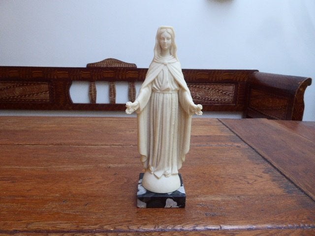 Mooi beeld van Maria Madonna della Rose