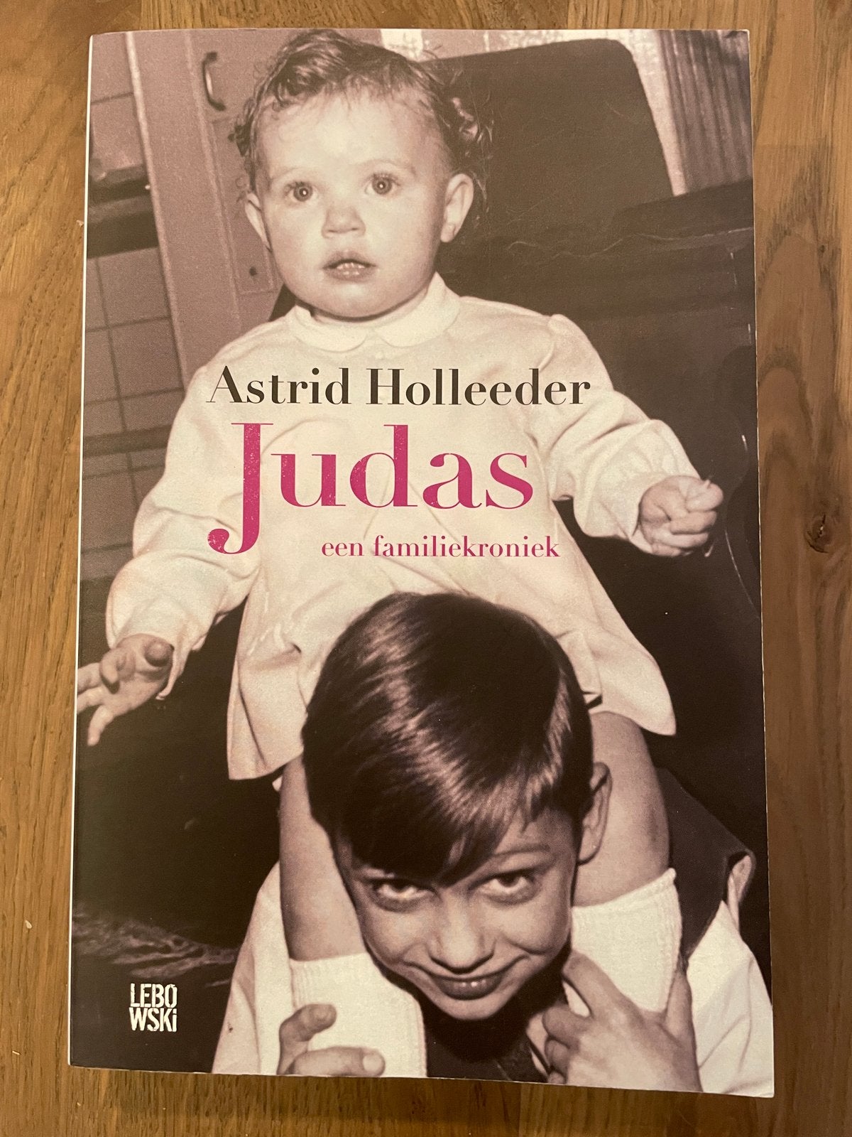 Judas - Astrid Holleeder (Familiekroniek), Ophalen of Verzenden, Gelezen, Nederland