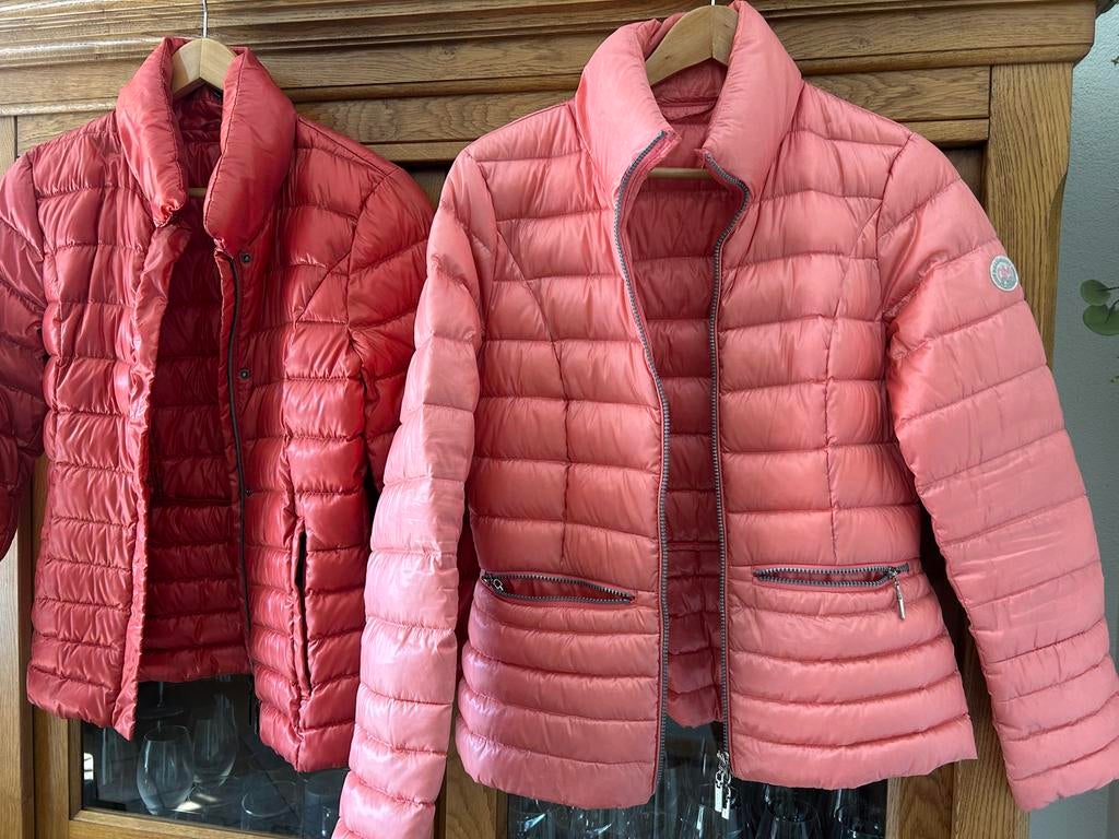 Beaumont tussenjassen - Oranje en Roze, Ophalen of Verzenden, Zo goed als nieuw, Maat 36 (S), Overige kleuren
