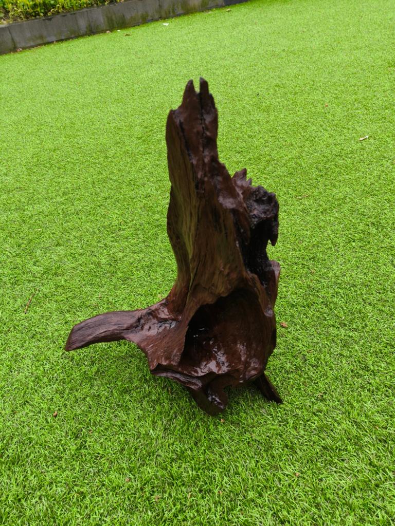 Groot stuk kienhout,, Ophalen of Verzenden, Plant(en), Steen of Hout