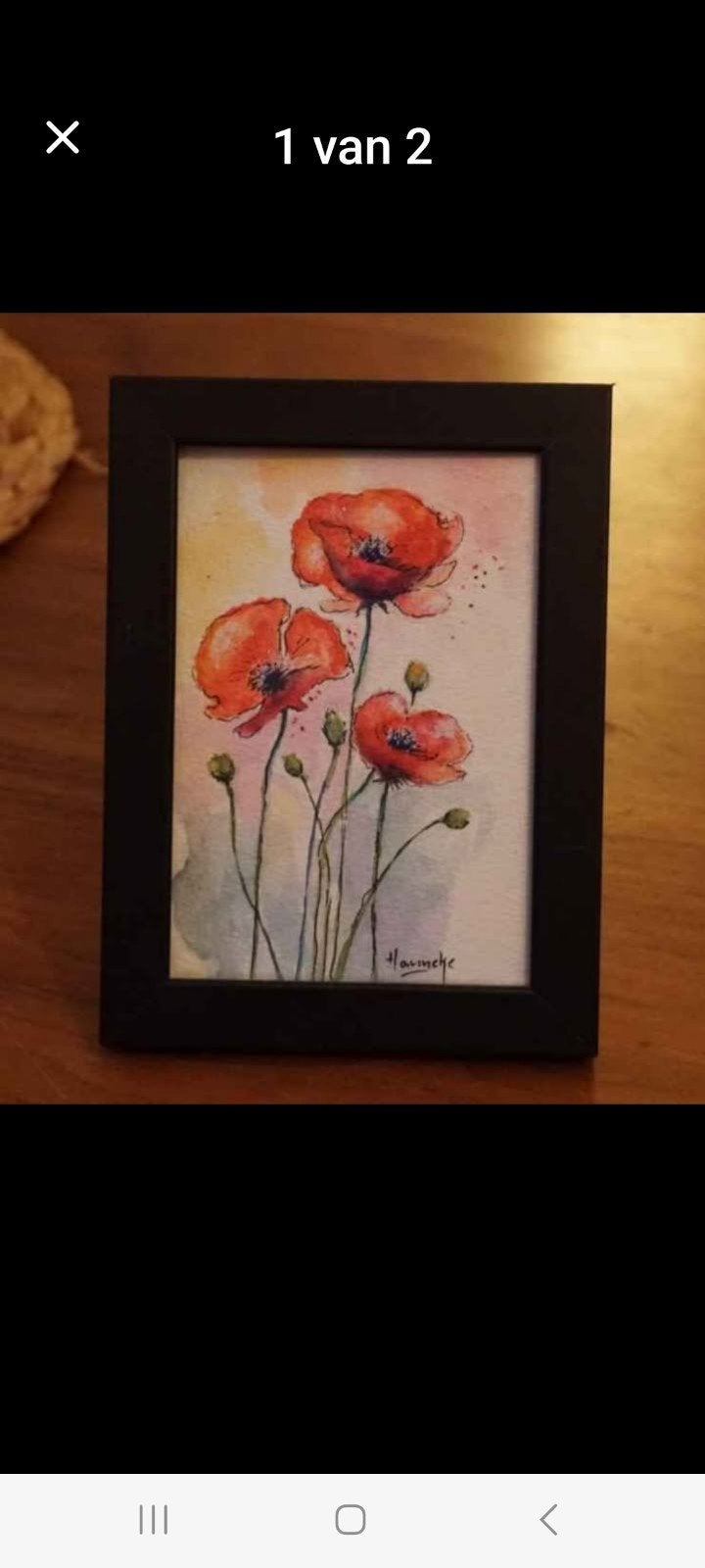 Ingelijste aquarel van klaprozen, Ophalen of Verzenden