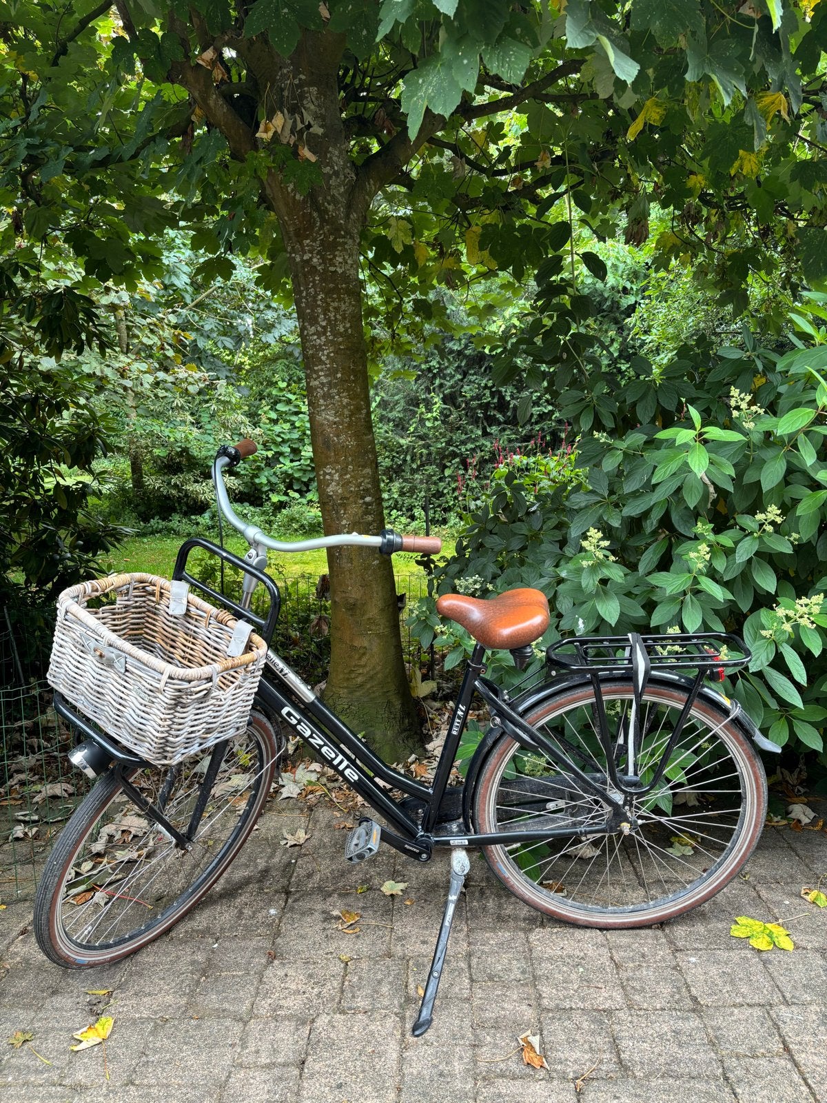Gazelle Duty NL Damesfiets met mand en versnellingen, Fietsen en Brommers, Ophalen, Gebruikt, 47 tot 50 cm, Versnellingen