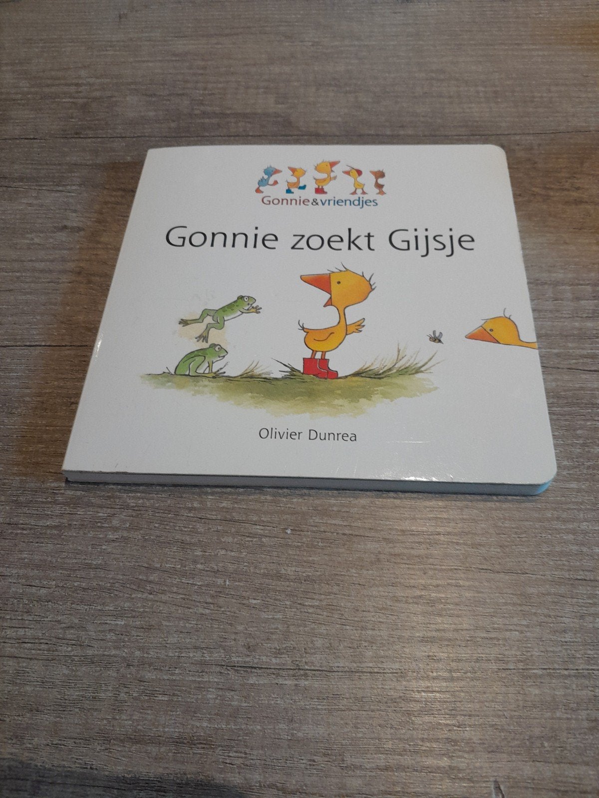 Gonnie zoekt Gijsje - Prentenboek van Olivier Dunrea, Olivier Dunrea, Fictie algemeen, Jongen of Meisje, Ophalen of Verzenden