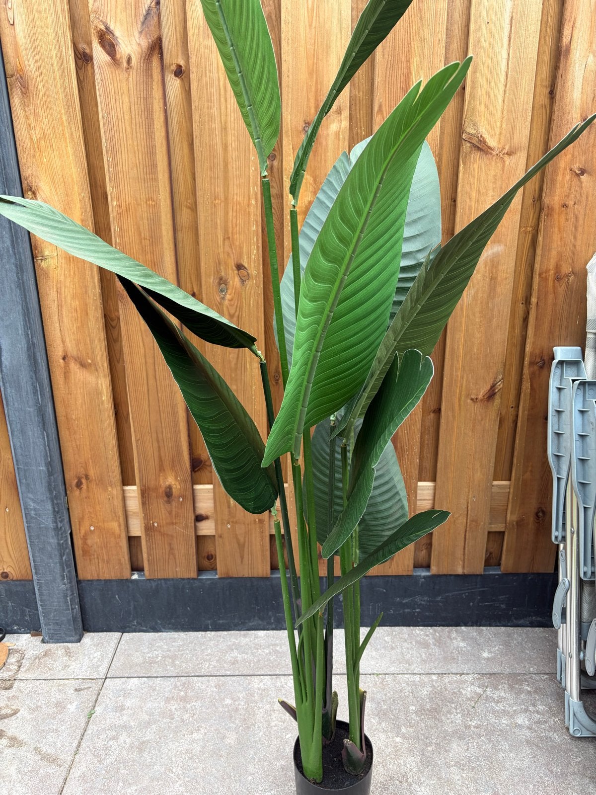 Grote kunstplant Strelitzia,  ca 155 cm hoog, Huis en Inrichting, Ophalen, Binnen, Kunstplant, Zo goed als nieuw