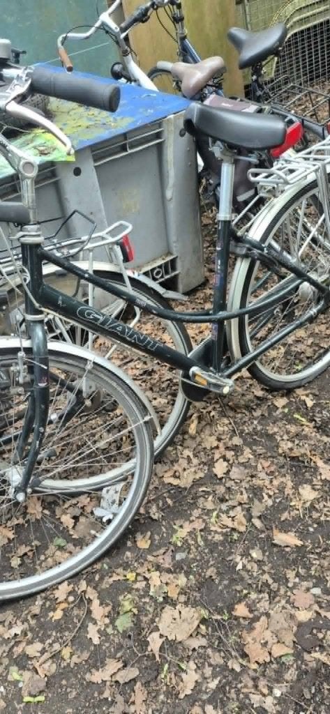 fietsen, Fietsen en Brommers, Ophalen, Gebruikt, Overige merken