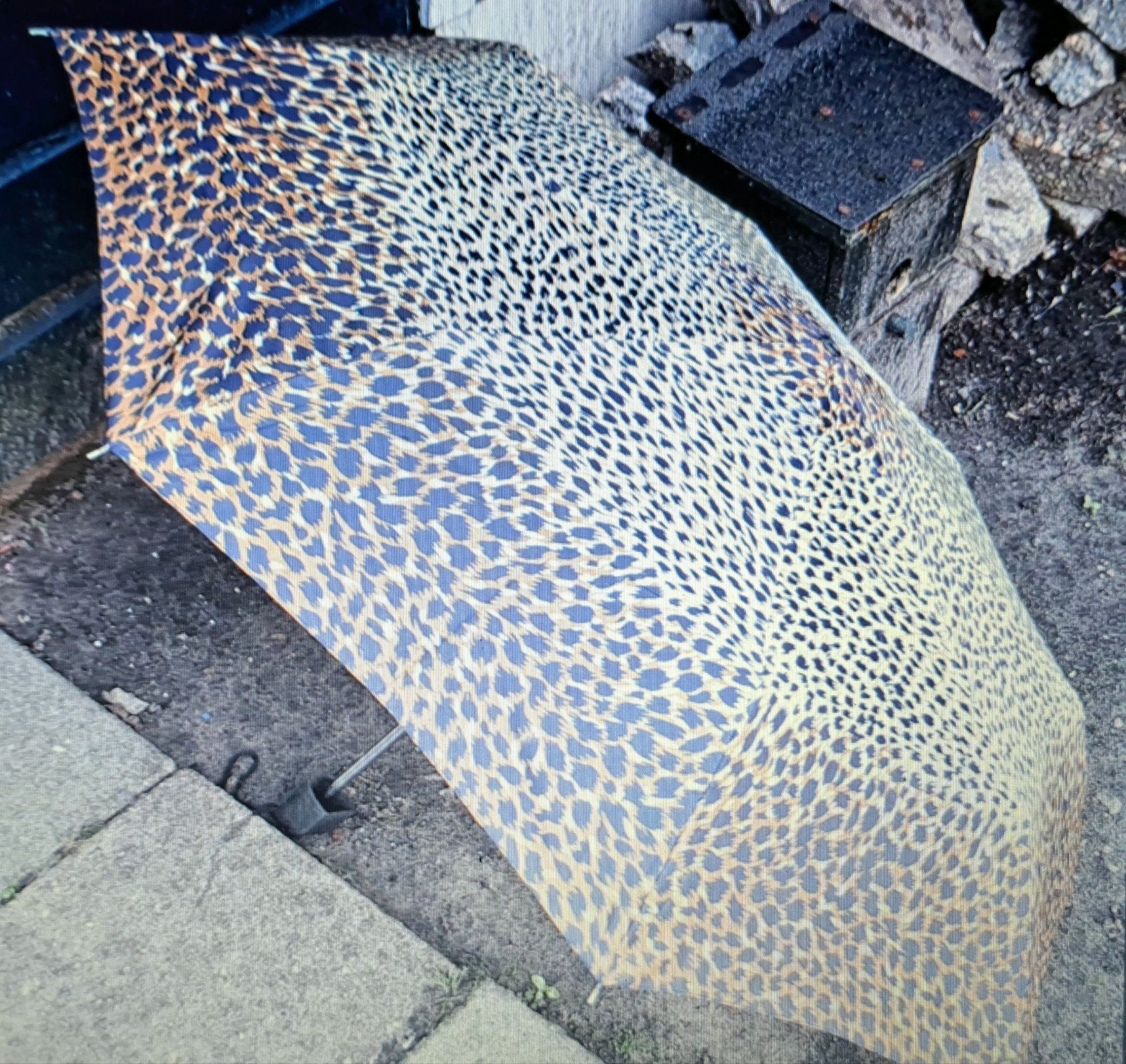 Paraplu met luipaardprint - Stijlvol en compact, Ophalen of Verzenden, Zo goed als nieuw, Overige kleuren