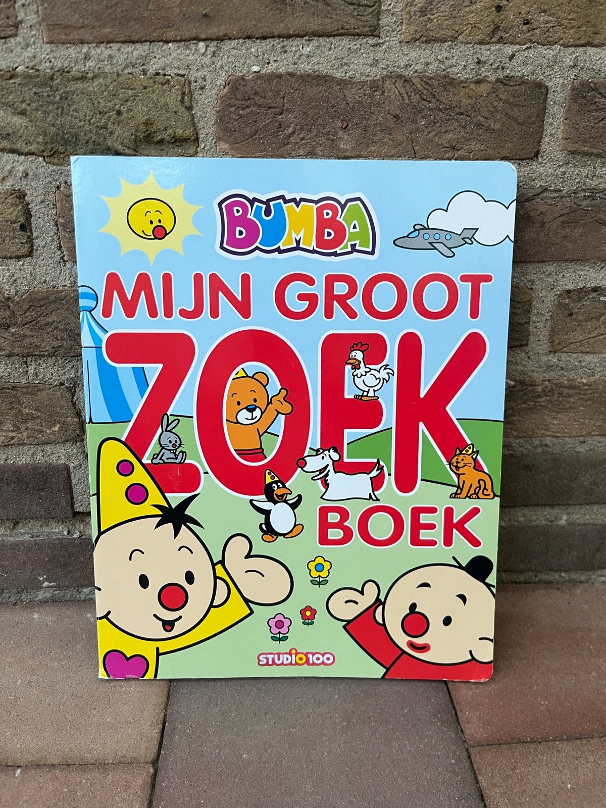 Bumba Mijn Groot Zoekboek - Studio 100, Ophalen of Verzenden, Zo goed als nieuw, Uitklap-, Voel- of Ontdekboek, 1 tot 2 jaar