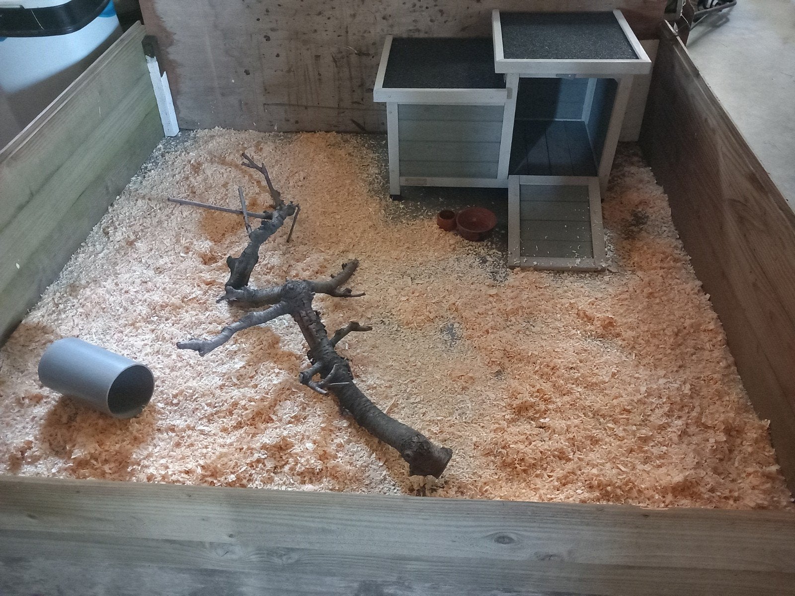 Vakantieopvang cavia's, Ophalen
