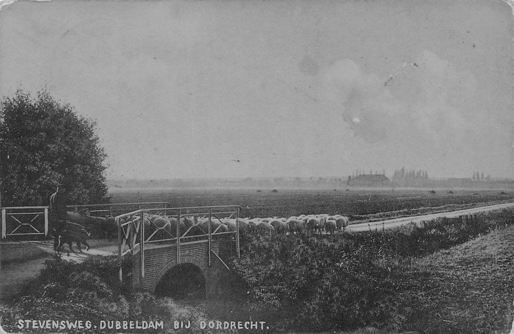 702-206-039 Stevensweg Dubbeldam Bij Dordrecht, Verzenden, Voor 1920, Zuid-Holland