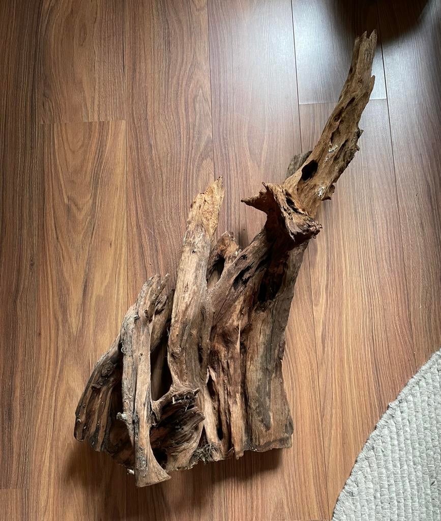 Aquarium - Mangrove hout XL, Ophalen, Gebruikt, Plant(en), Steen of Hout