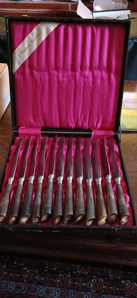Antieke messenset in kist - J. Fonderie, Den Haag € 100,00, Antiek en Kunst, Ophalen