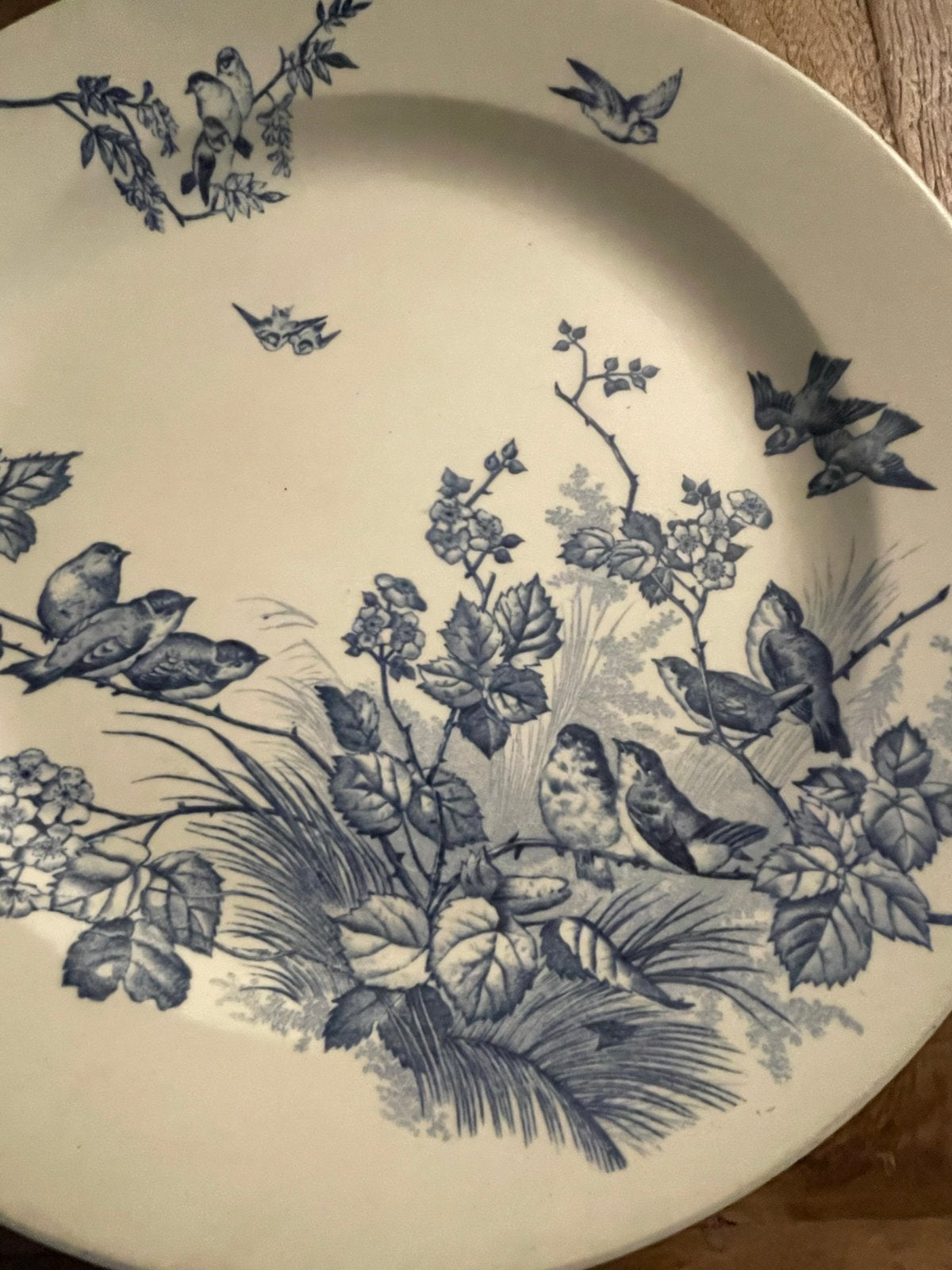 Fauvette Boch Frères, met vogeldecor - 27,5 cm en 32 cm, Ophalen of Verzenden