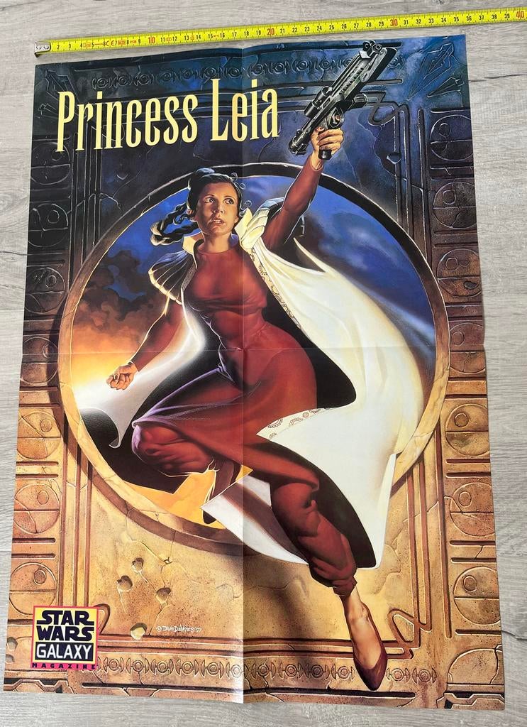 Star Wars Princess Leia poster, Ophalen of Verzenden, Gebruikt