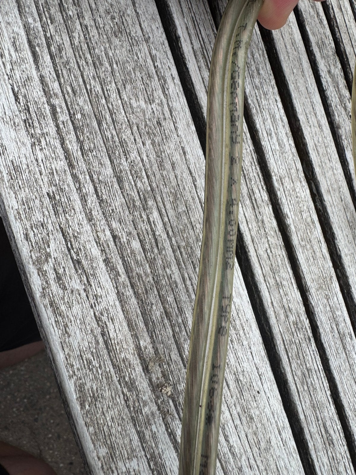 Oehlbach 2 x 4 mm speakerdraad, Ophalen of Verzenden, Zo goed als nieuw, Minder dan 2 meter