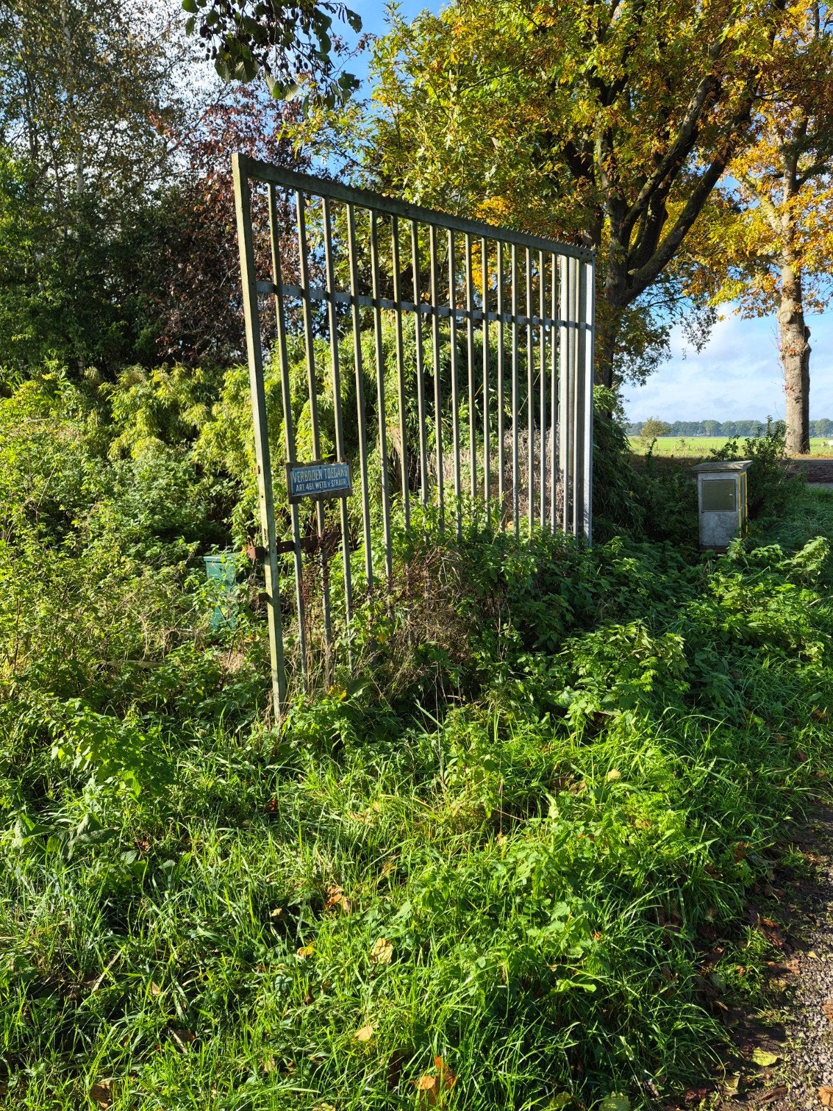 Robuust ijzeren hekwerk met poort, Tuin en Terras, Ophalen, Met poort, Gebruikt, Spijlenhekwerk