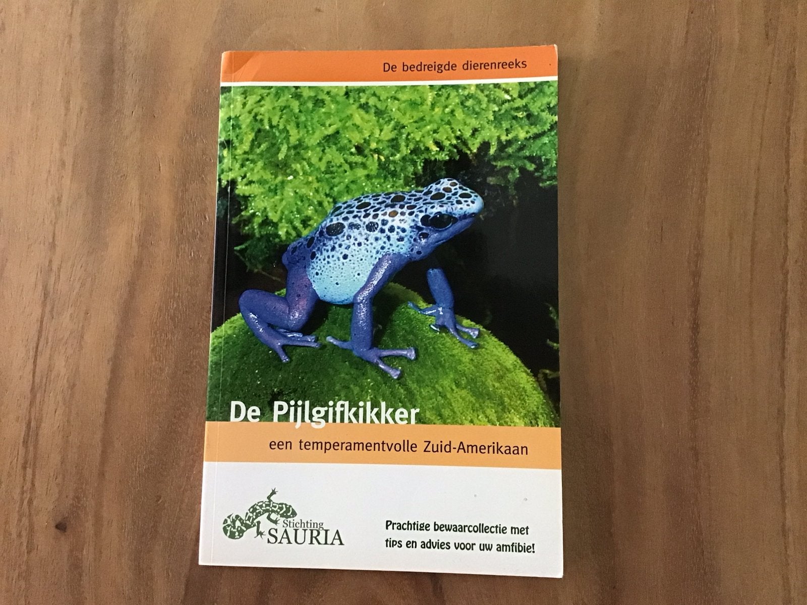 De pijlgifkikker; een temperamentvolle zuid-amerikaan, Verzenden, Gelezen, Reptielen of Amfibieën