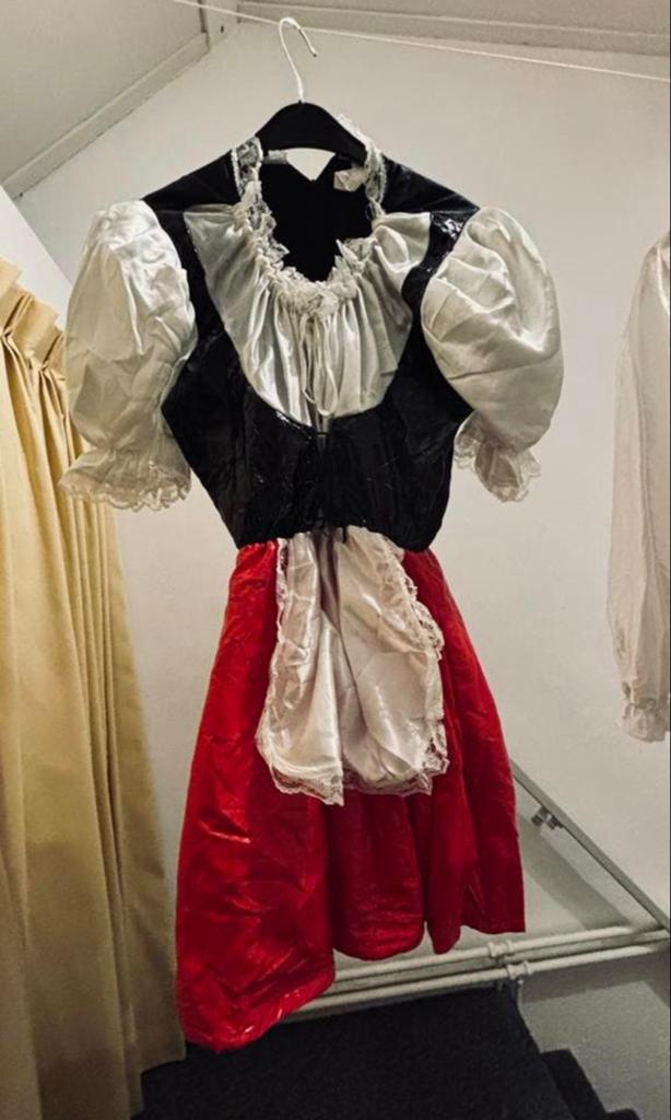 Partyfun Dirndl jurk maat 38/40 (L) - Themafeest, Kleding | Dames, Carnavalskleding en Feestkleding, Carnaval, Maat 42/44 (L)
