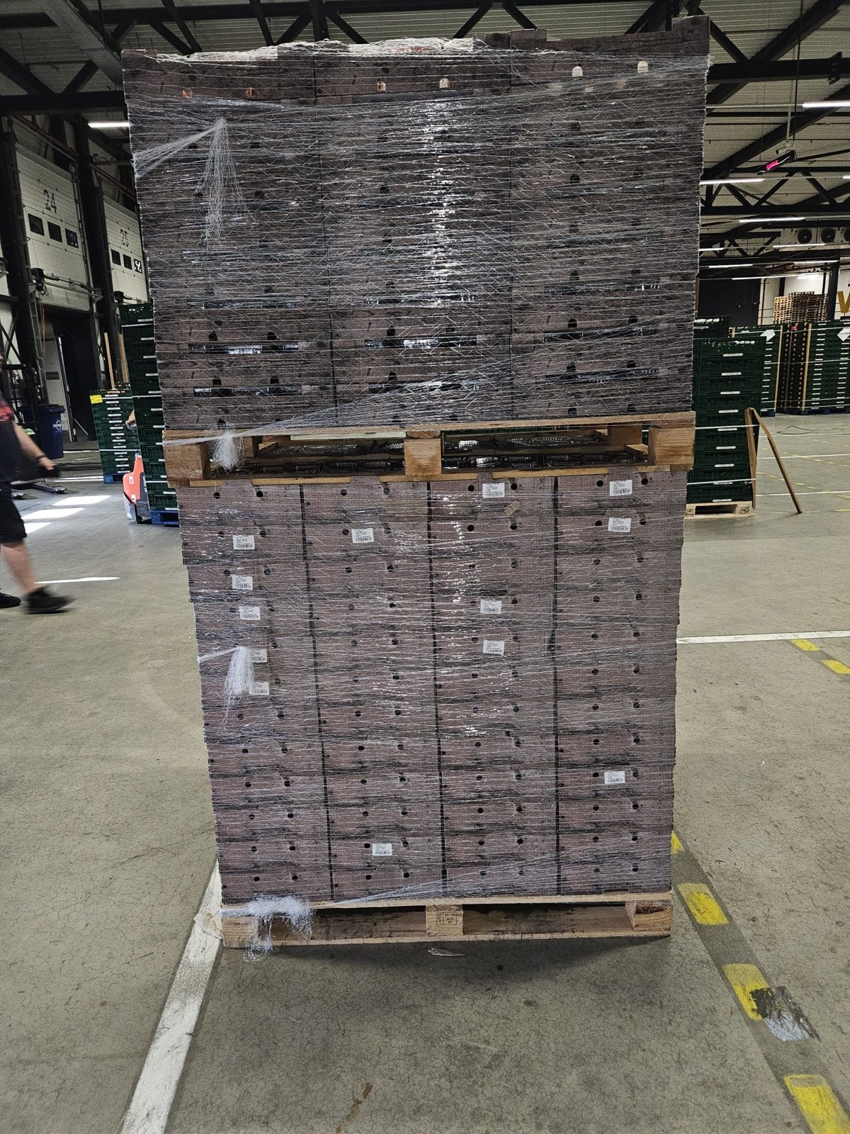 Pallet Cherrytomaten - 250 verpakkingen, Ophalen of Verzenden