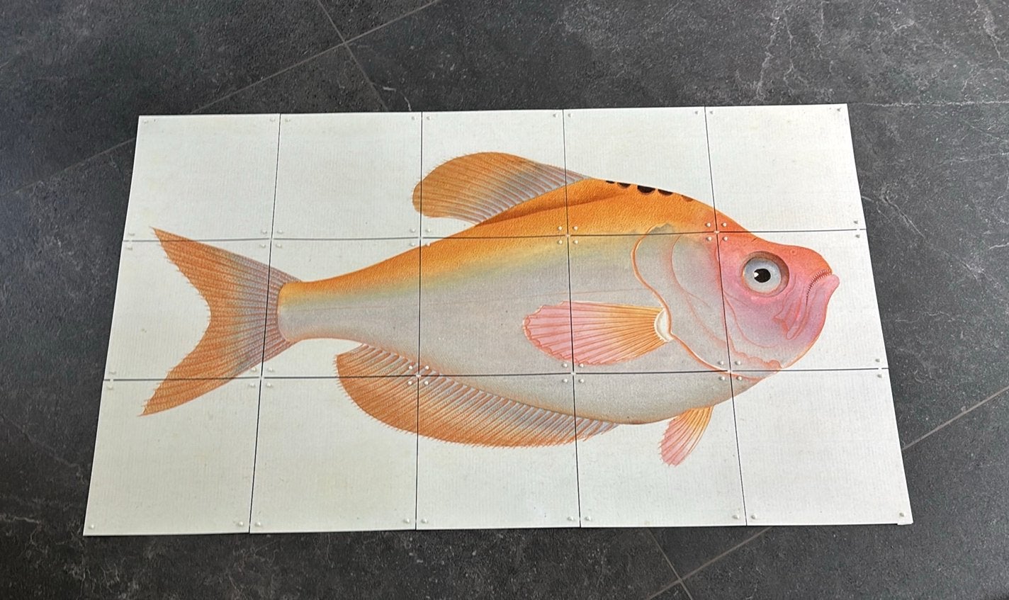 IXXI yellow fish | 100 x 60 cm | goede staat, Huis en Inrichting, Woonaccessoires | Wanddecoraties, Ophalen, Schilderij, Meerkleurig