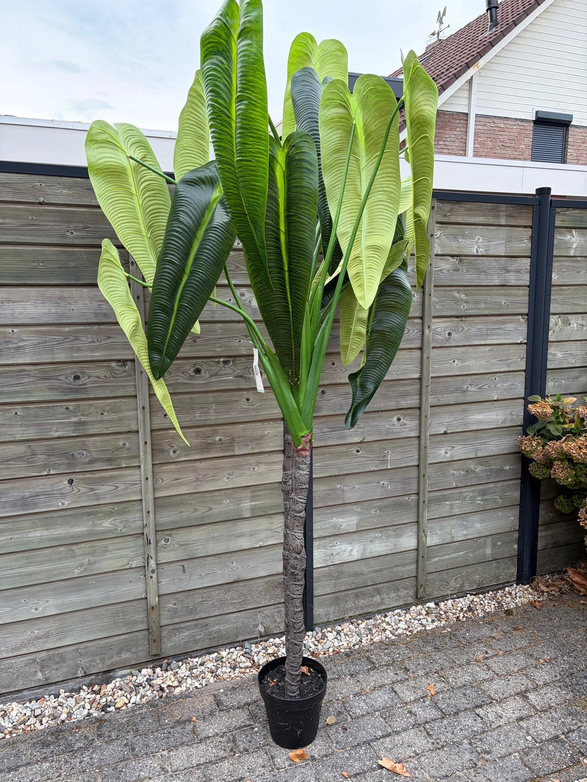 Kunstplant Anthurium 240 cm - Realistische Groene Plant, Ophalen, Binnen, Groen, Kunstplant