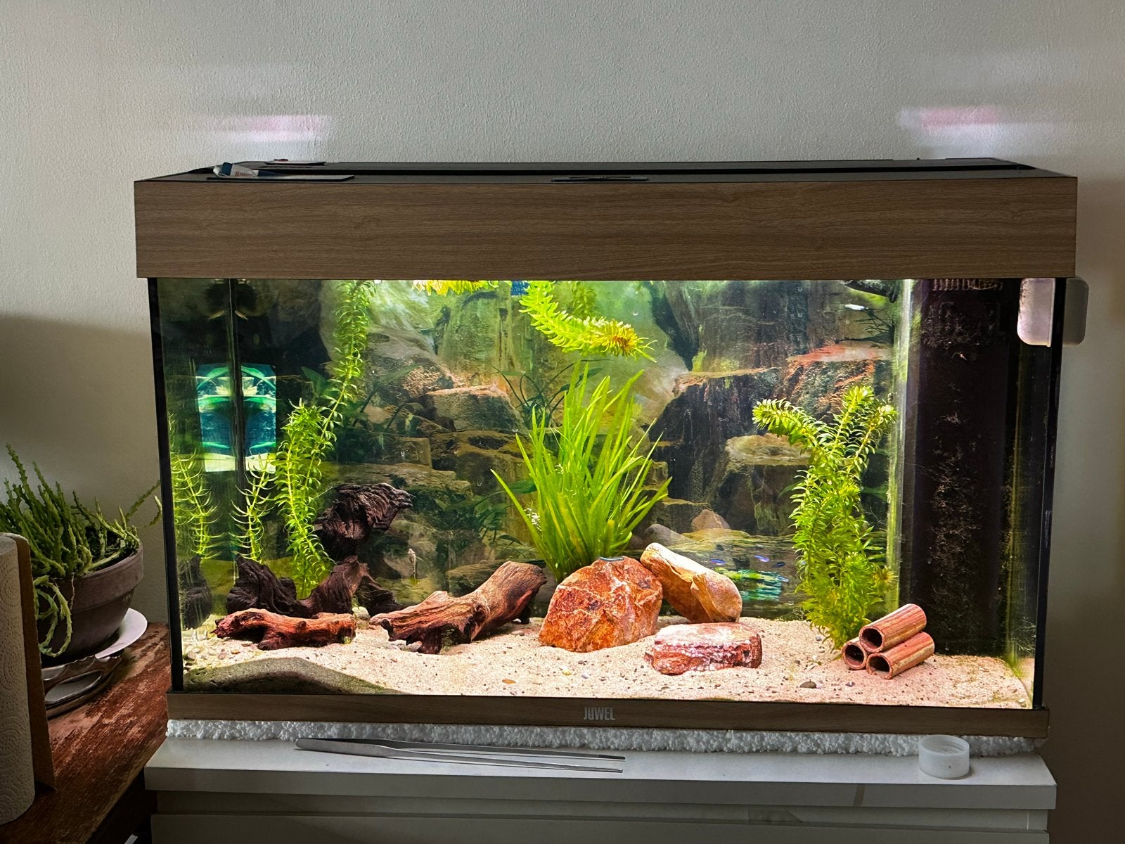Aquarium Juwel Rio, Dieren en Toebehoren, Vissen | Aquaria en Toebehoren, Ophalen, Inclusief vissen, Gevuld zoetwateraquarium